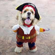 FUNNY CAT PIRATE COSTUME