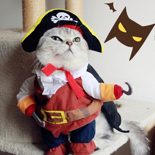 FUNNY CAT PIRATE COSTUME